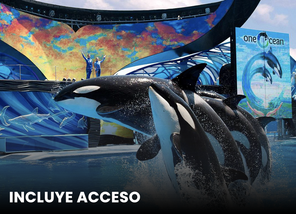 SeaWorld